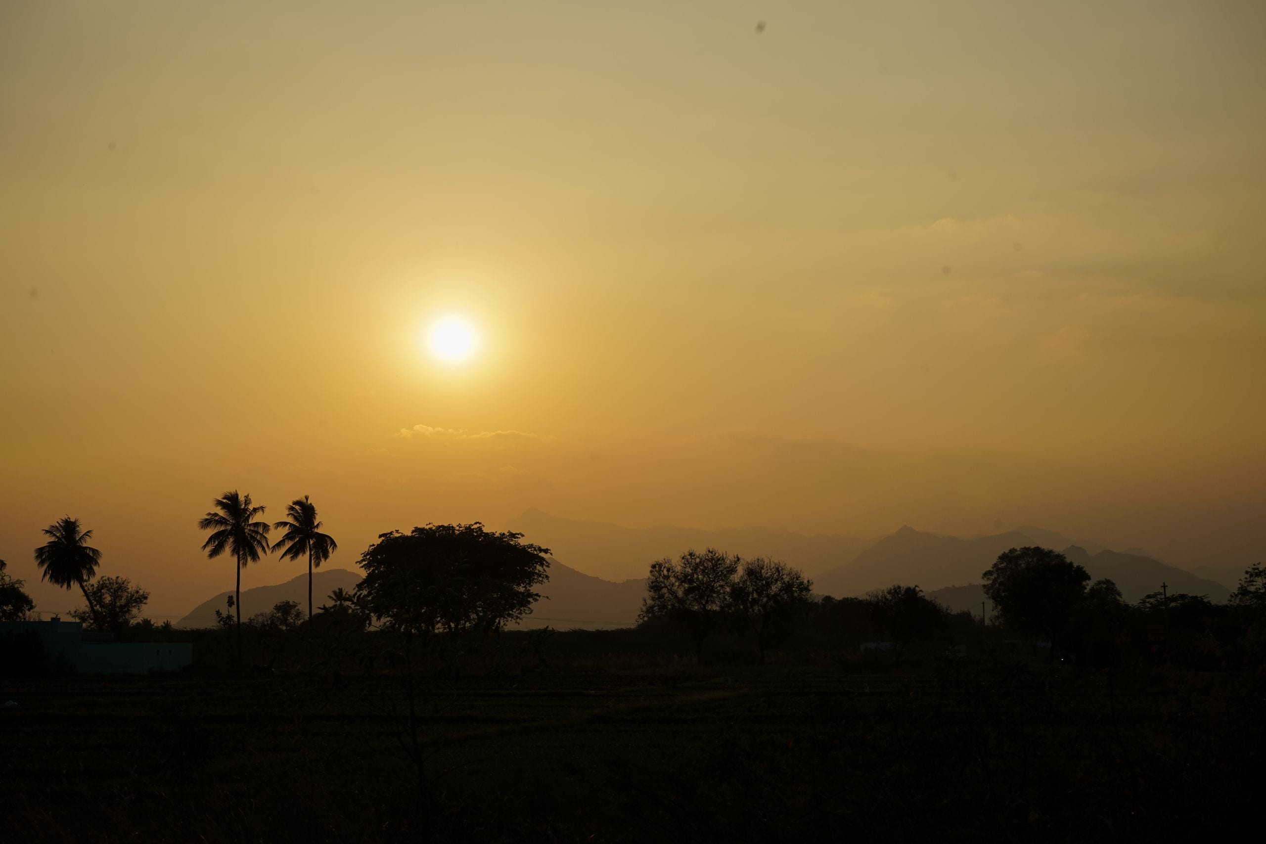 Golden sunset over trees and mountains in Krishnankovil, India.